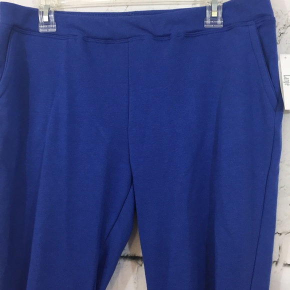 Stein Mart Capri Length Pants 